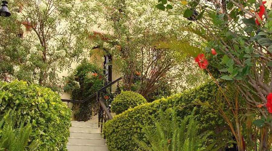 The Jaipur House, Mount Abu 3